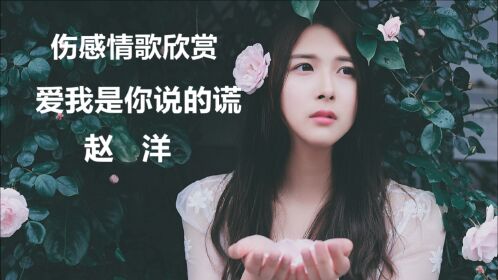 伤感情歌欣赏:美女歌手赵洋《爱我是你说的谎》美女梅子出镜