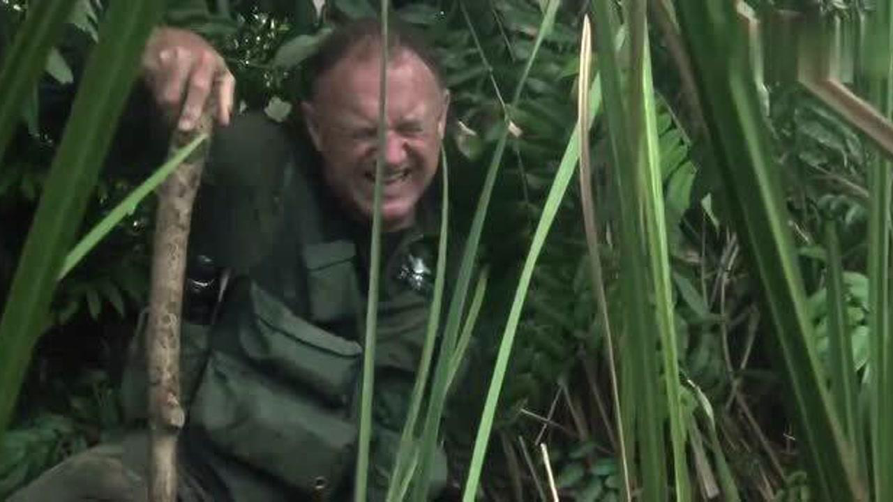 Thumbplayer Poster Plugin Image