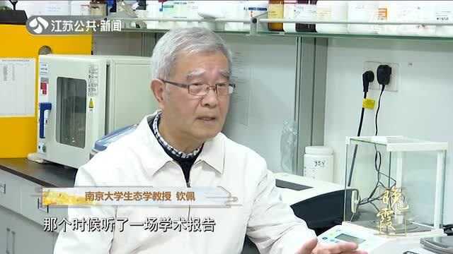 南京大学生态学教授深情回忆 与“大米草”结下一生缘