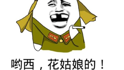 带小日看花姑娘