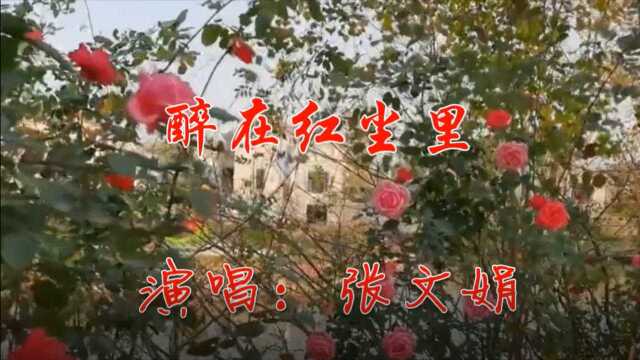 张文娟一首《醉在红尘里》歌声悠扬动听,唱出了绵绵的情意好听!