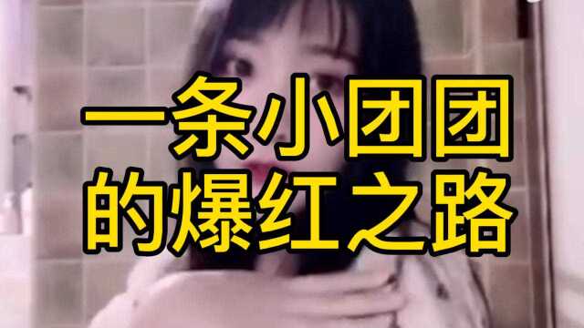 小团团的爆红之路