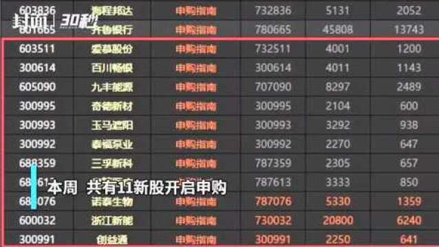 30秒丨本周11只新股来袭 周一就“上新”一只高中签率低价股