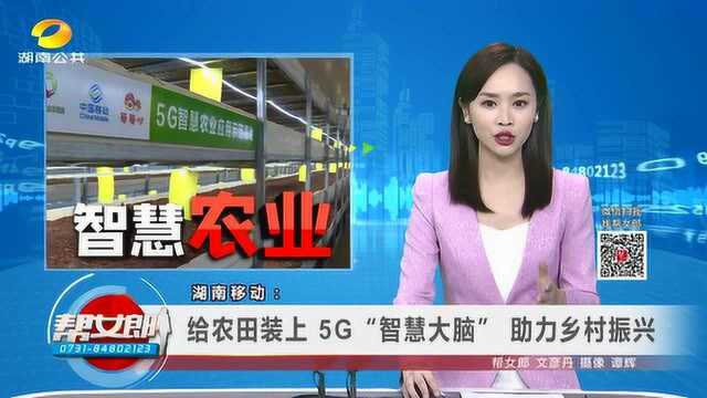 (智慧农业)湖南移动:给农田装上 5G“智慧大脑” 助力乡村振兴