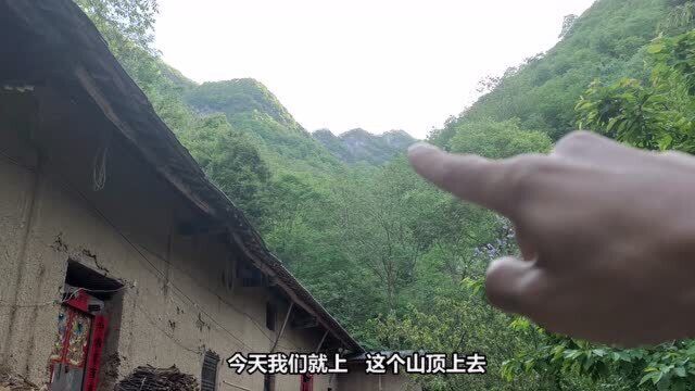 农村小伙登山寻找黑龙洞,途中还看见野山羊睡觉的台子,你见过吗