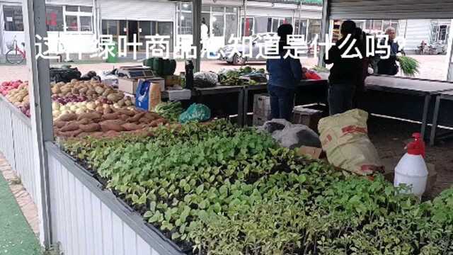 京南城郊菜场商品琳琅满目购销两旺,可货台上的一种商品您未必认识!