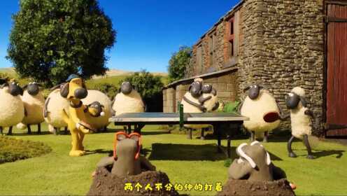 小羊肖恩动画：比泽尔跟肖恩进行乒乓球比赛，引来众多动物们围观