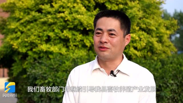 德州武城:奶牛戴上智能“项圈”,牛奶品质和产量有了“双保险”