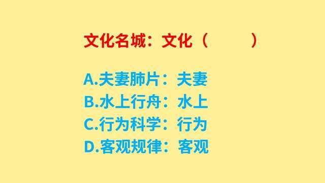 公务员考试,文化是文化名城的属性特点,词语推理