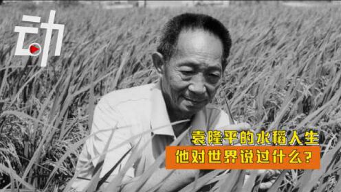 逝者｜袁隆平的水稻人生：一生追逐“禾下乘凉梦” 号召更多年轻人做农业