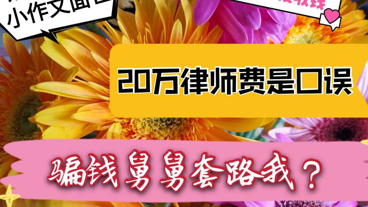 熊磊20万律师费是口误是骗钱舅舅的套路还是某人心怀鬼胎