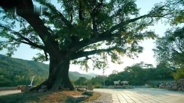 温暖的味道:美的风景一直都在,最美的一定会随着音乐一起来