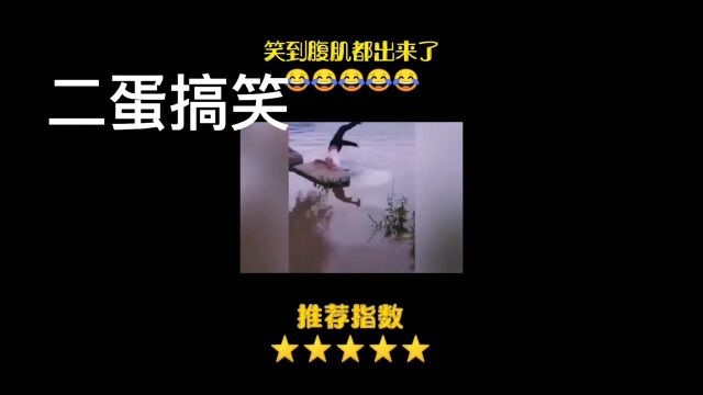 二蛋搞笑视频