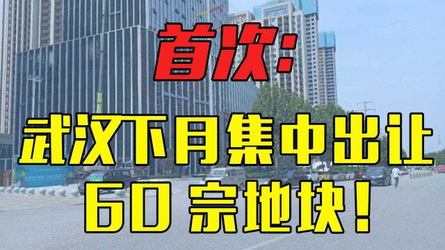 首次:武汉发布首批集中供地公告,下月集中出让60宗地块!