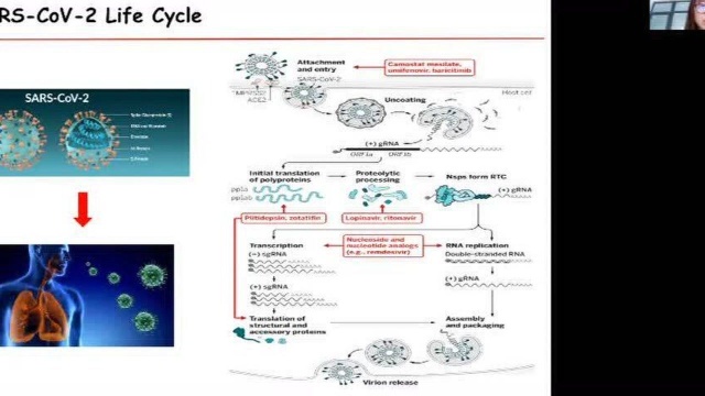 Science Bulletin学术沙龙*络绎学术Online第57期《新冠病毒N蛋白通过相分离介导病毒复制》