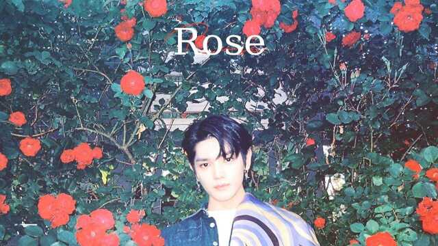 李泰容姜涩琪合作曲《ROSE》完整版音频公开,帅哥美女的合作绝绝子