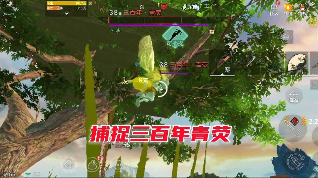 zb小生妄想山海捕捉三百年精灵青荧准备开始抓万年了