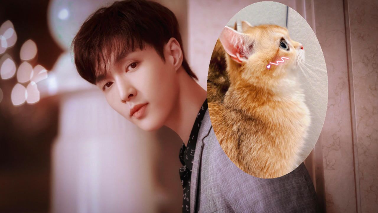 张艺兴晒宠物猫咪侧颜照,超萌模样令粉丝疯狂!