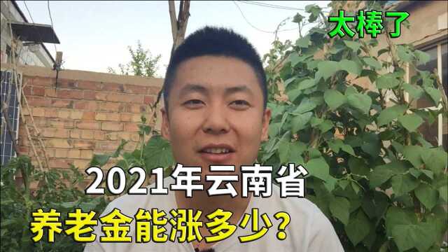 2021年,云南高龄补贴又涨了