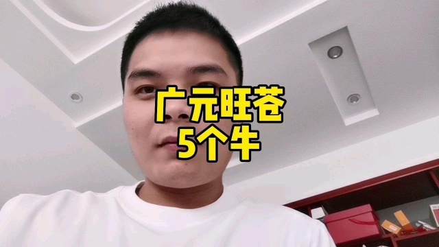 仔细看看广元旺苍这5个牛值多少,给我一个实际价钱的建议