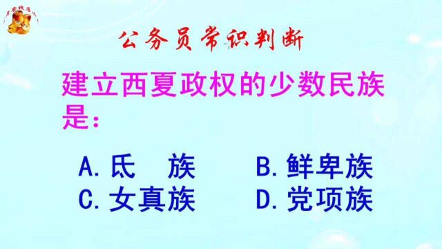 公务员常识判断,建立西夏政权的少数民族是哪个?难倒了学霸