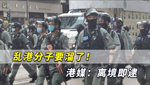 乱港分子要溜了！港媒曝光：香港警方国安处掌握名单，离境即逮