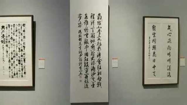 【视频】“诗书联袂 百年讴歌”江苏诗词书法展巡展走进常州