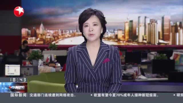 上海:扎根临港推动建设 先进党组织勇担使命