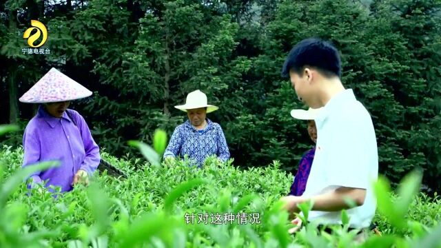 我市持续实行“科特派”制度 积极引导专家人才服务基层