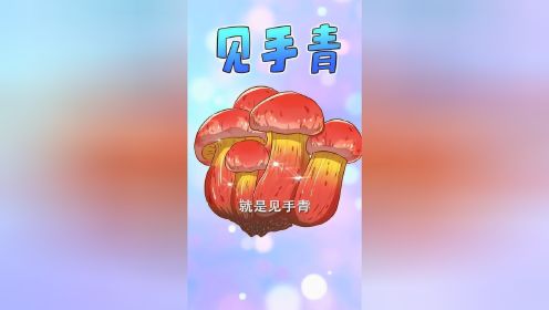 蘑菇有风险，挑战需谨慎！#知识π计划-知识抢先知#