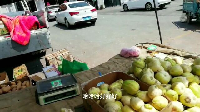 杨子赶集买了鸭子和鸭血,准备给媳妇露一手,杨氏新版啤酒鸭!