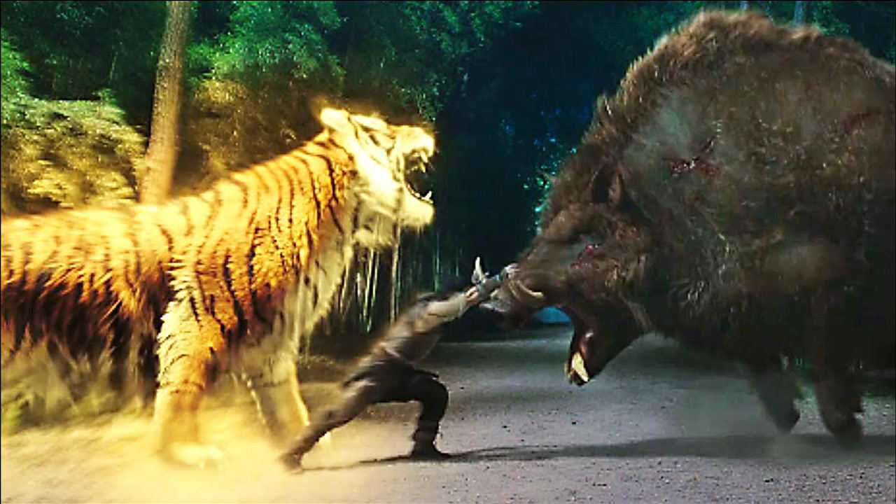 电影:猪刚鬣太猛了,可还是不敌猛虎,一招就把他撂翻了