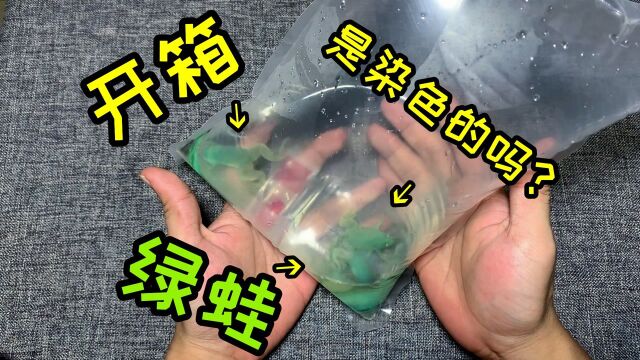 网购开箱“绿蛙”3只,确定这种颜色是天生的吗?不会是染色的吧