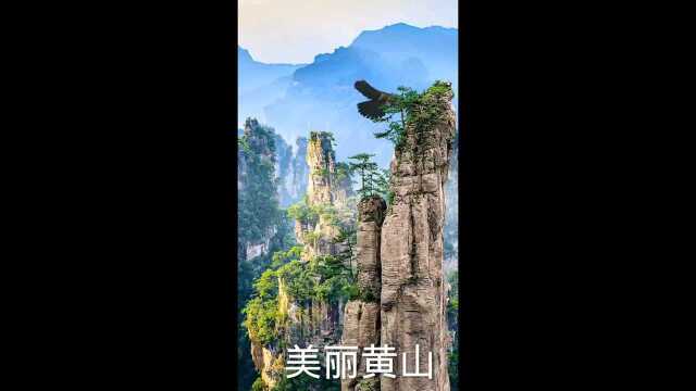 风光秀丽的黄山