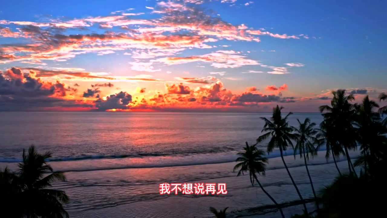 白雪演唱的《我不想说再见》 情深意切