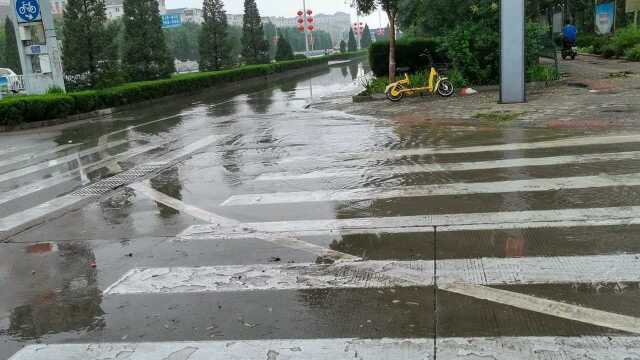 实拍山东高唐大暴雨,到处汇流成河,雨过天晴后景象人间仙境,快来看