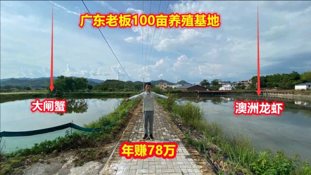 广东老板租100亩地,挖26口鱼塘大规模搞养殖,年入78万