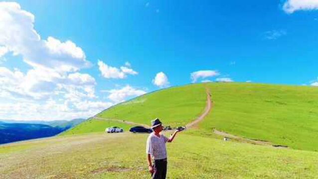 世界海拔最高的“空中大草原”绵延百余公里,0元门票你想来吗