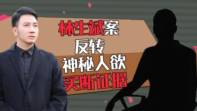 林生斌终自食恶果?神秘人欲砸200万买断证据,李诣凡发声或成突破口