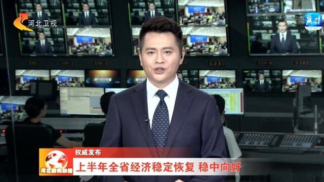 权威发布——上半年河北省经济稳定恢复 稳中向好