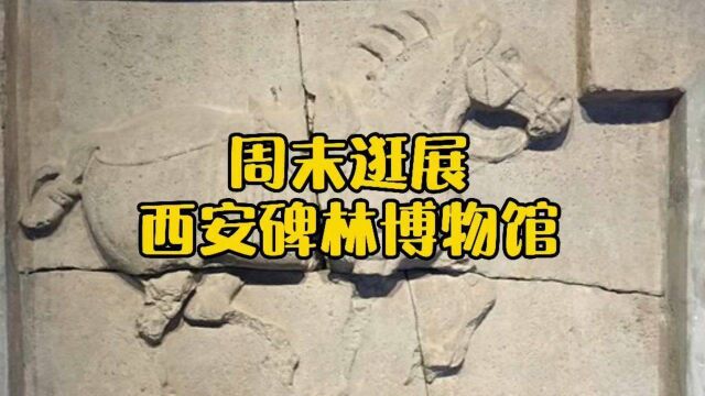 来西安一定不能错过的博物馆是哪里?传奇的“昭陵六骏”为何只剩下四骏?一起来视频里寻找答案吧