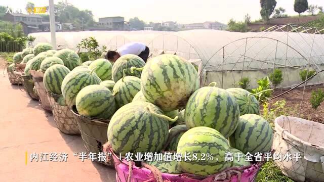 内江经济“半年报”| 农业增加值增长8.2%,高于全省平均水平