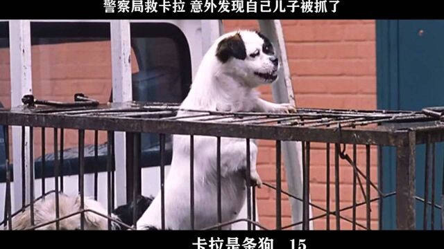 卡拉是条狗15,警察局救卡拉 意外发现自己儿子被抓了