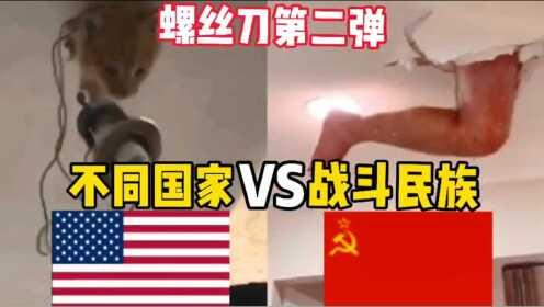 [图]不同国家VS俄罗斯！乌拉！从来认输过嘿嘿嘿！螺丝刀螺丝刀的那种