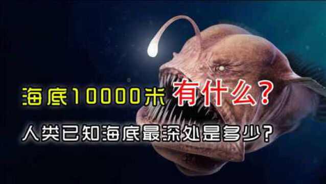 海底10000米有什么?人类已知海底最深处是多少?