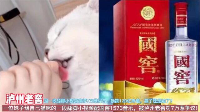 妹子猫咪舔脚小视频配国窖1573音乐被罚7万,贵州茅台就耿直很多!