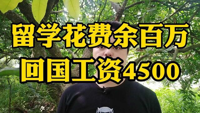 留学花费百余万,回国工资4500!“海归”为什么不香了?