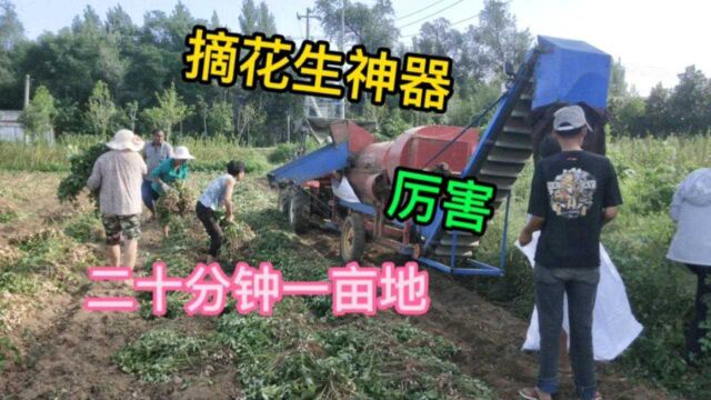 河南惊现新型摘花生神器,20分钟摘完一亩地,全村排队抢着用