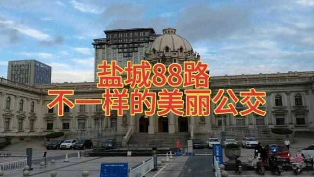 盐城88路不一样的美丽公交