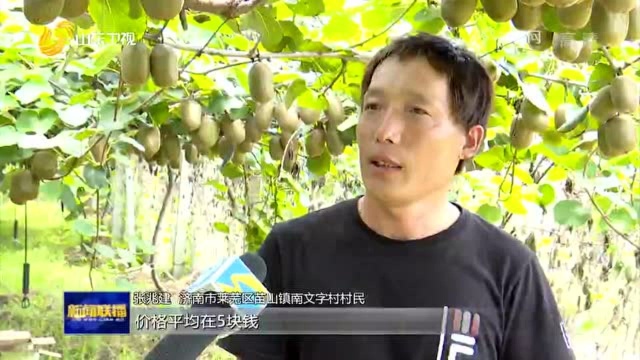 学史力行|济南市莱芜区:打造农村“客货邮”融合新模式 让群众获得感成色更足